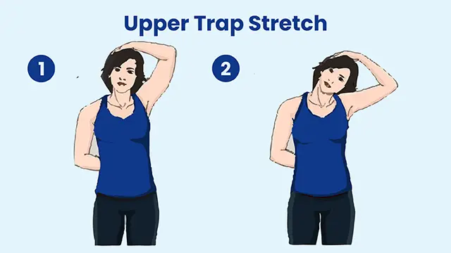 Upper Trap Stretch